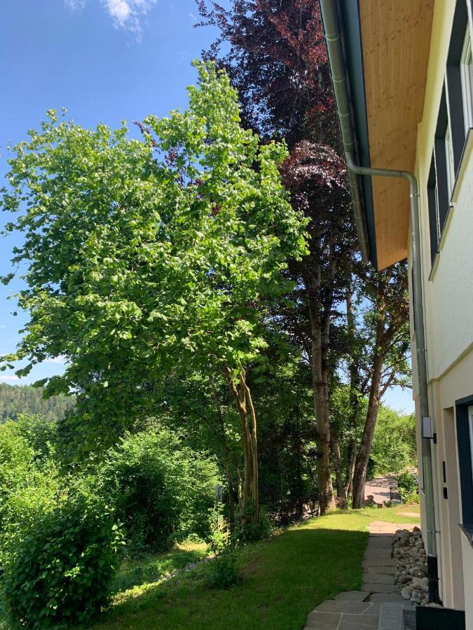 Moderne Wohnung Im Gruenen Mit Privatem Garten Donaueschingen Exterior photo